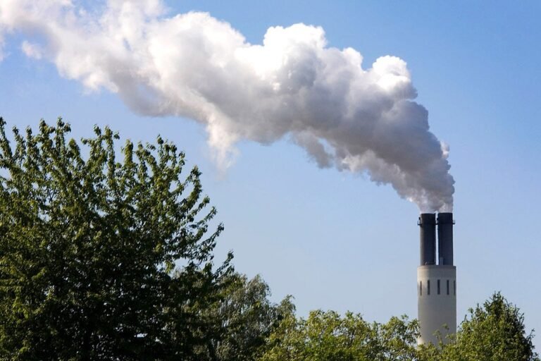 Carbon’s social cost is upto three times higher than estimated